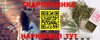 соль ск Будённовск