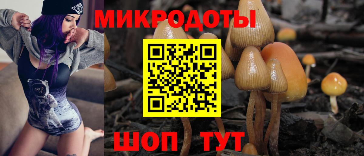 Псилоцибиновые грибы ЛСД  Вход с VPN  Псилоцибиновые грибы прущие грибы  Серов 