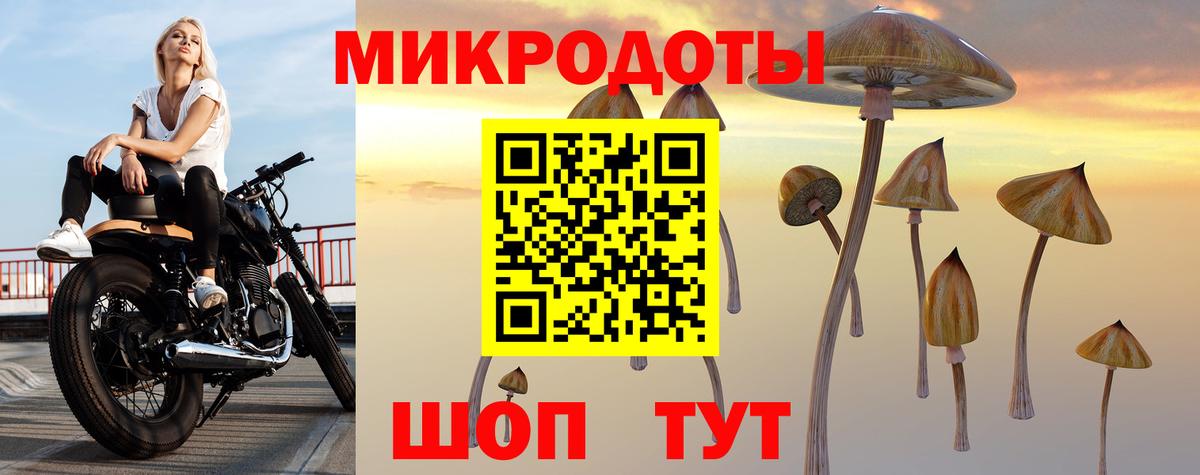 Псилоцибиновые грибы Psilocybine cubensis Серов